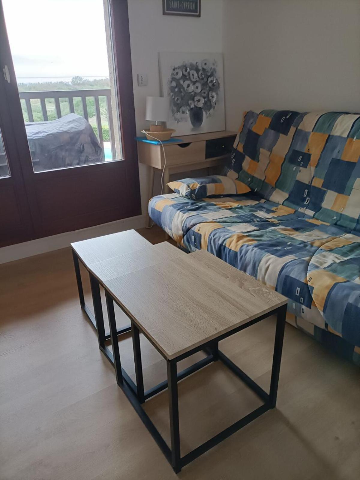Le Tropique Appart Avec Vue Mer - Wifi Et Parking - Clim Saint-Cyprien  Zewnętrze zdjęcie